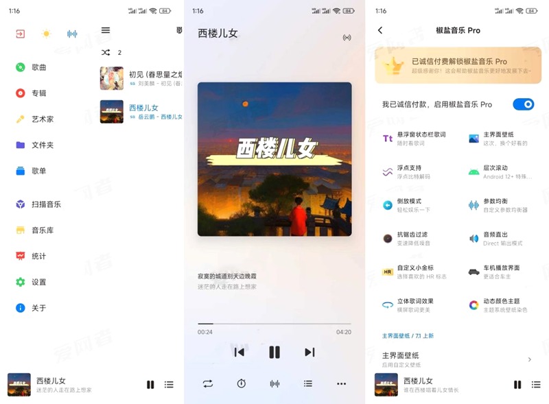 图片[1]-Salt Player v11.0.4 本地音乐播放器-303资源网